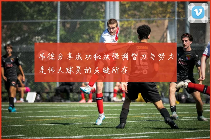 韦德分享成功秘诀强调智力与努力是伟大球员的关键所在